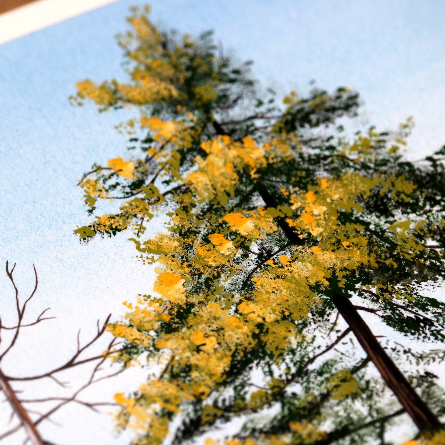 Mountain Pine Tree - Gouache Painting