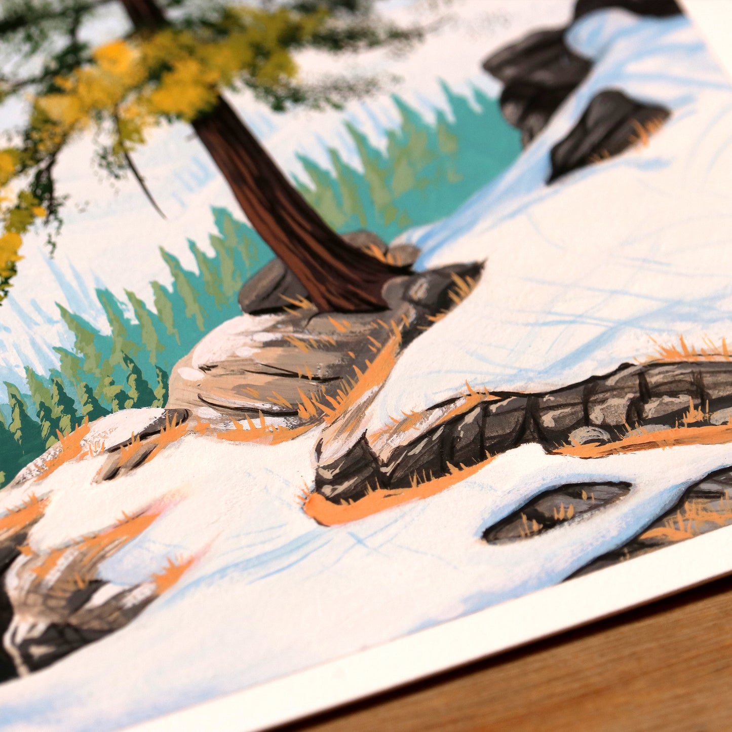 Mountain Pine Tree - Gouache Painting