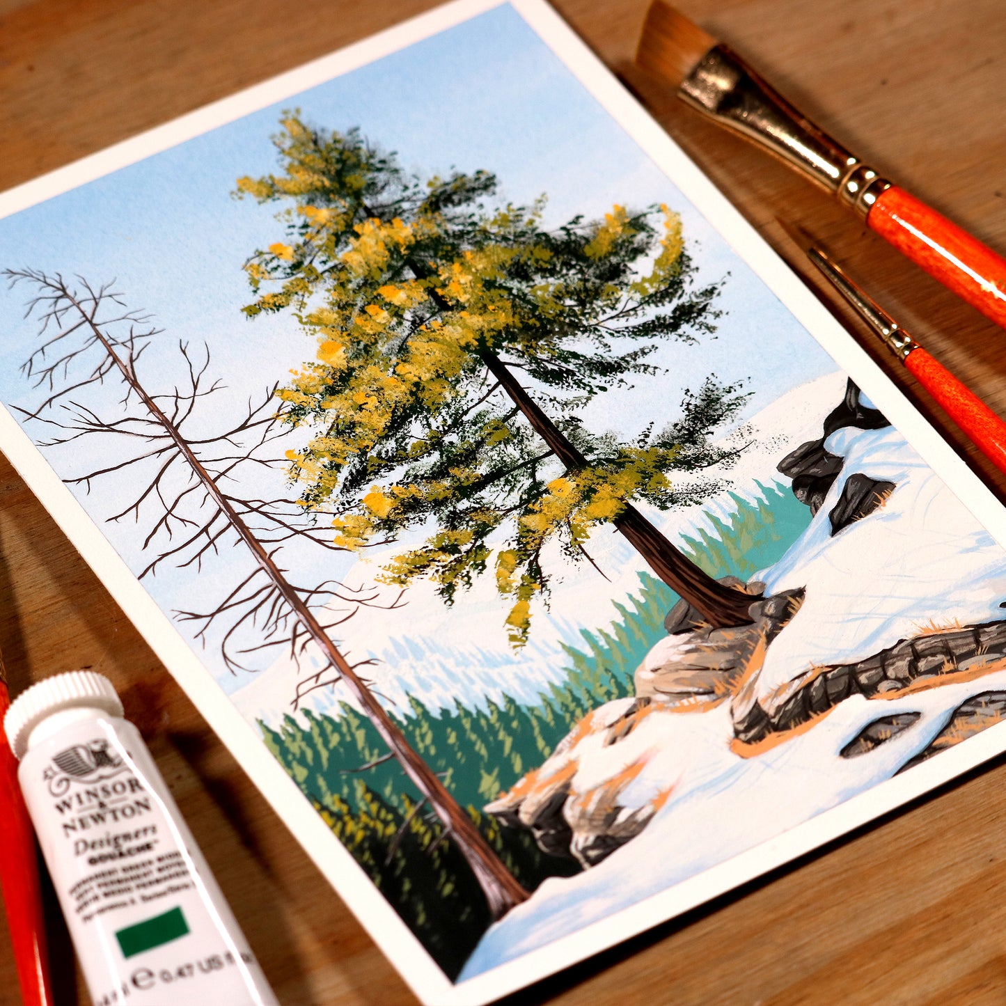 Mountain Pine Tree - Gouache Painting